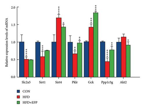 The Regulative Effect and Mechanism in a MetS Mice Model of Functional Components in Freeze-Dried Powder from Phyllanthus emblica L. Fruit