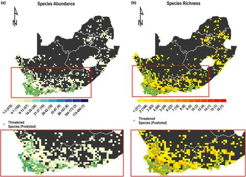 Effectiveness of South Africa's network of protected areas: Unassessed vascular plants predicted to be threatened using deep neural networks are all located in protected areas