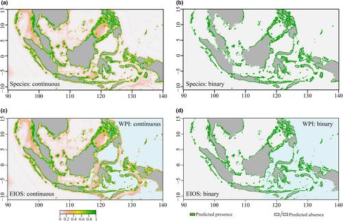 Unveiling the suitable habitats and future conservation strategies of Tridacna maxima in the Indo-Pacific core area based on species distribution model