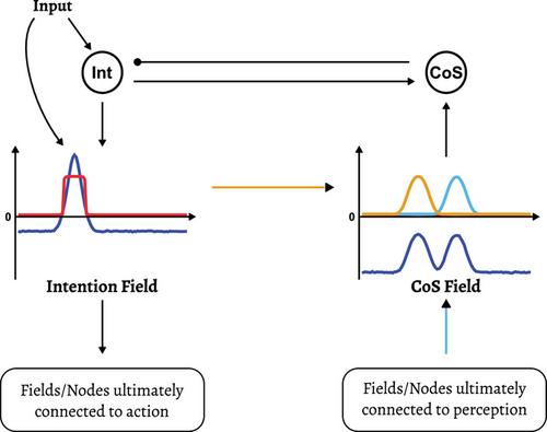 Neural Dynamic Principles for an Intentional Embodied Agent