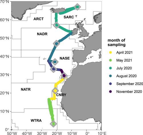 On the Variability of Phytoplankton Photophysiology Along a Latitudinal Transect in the North Atlantic Surface Ocean