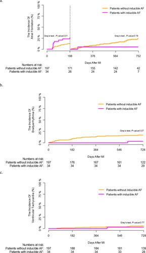 Incidentally Induced Atrial Fibrillation During Programmed Electrical Stimulation in Patients With Depressed Left Ventricular Systolic Function After an Acute Myocardial Infarction