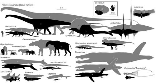 Cautionary tales on the use of proxies to estimate body size and form of extinct animals