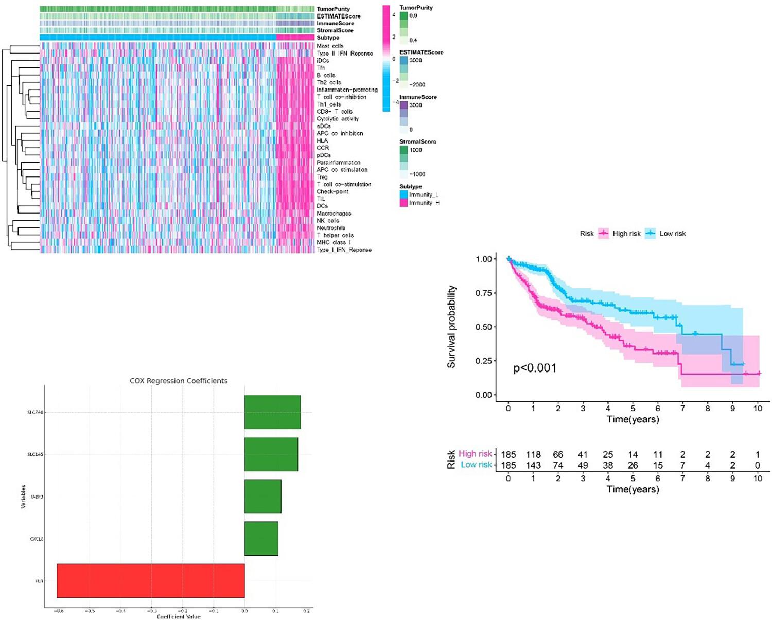 Exploring the interplay between bisphenol A exposure, the immune microenvironment and hepatocellular carcinoma progression