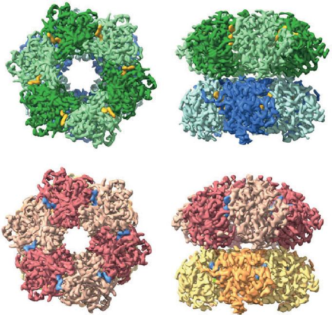 Measuring interactions in a circadian clock