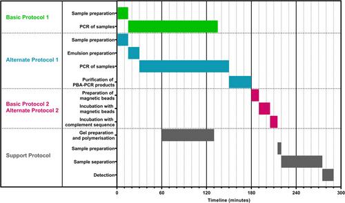 A Cost-Effective Approach for Single-Stranded DNA Amplification Using Primer-Blocked Asymmetric PCR