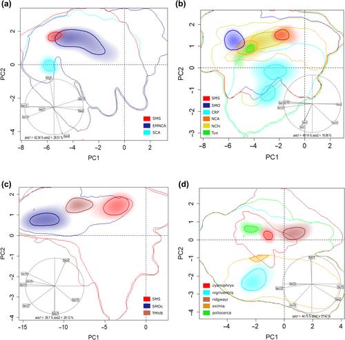 Climatic niche shifts and ecological sky-island dynamics in Mesoamerican montane birds