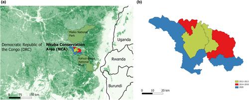 Short-term trends in great ape density in a community-based conservation area in the eastern Democratic Republic of the Congo