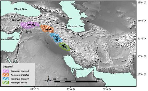 Correction to Phylogenetic climatic niche evolution and diversification of the Neurergus species (Salamandridae) in the Irano–Anatolian biodiversity hotspot Khoshnamvand, H.,  Vaissi, S.,  Azimi, M., &  Ahmadzadeh, F. (2024).  Phylogenetic climatic niche evolution and diversification of the Neurergus species (Salamandridae) in the Irano–Anatolian biodiversity hotspot.  Ecology and Evolution,  14, e70105. https://doi.org/10.1002/ece3.70105