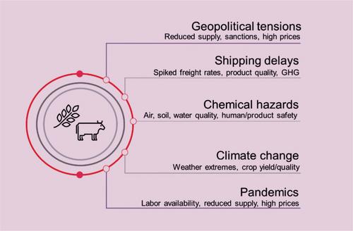 The Fragile Link: Supply Chain Disruptions and Global Food Security