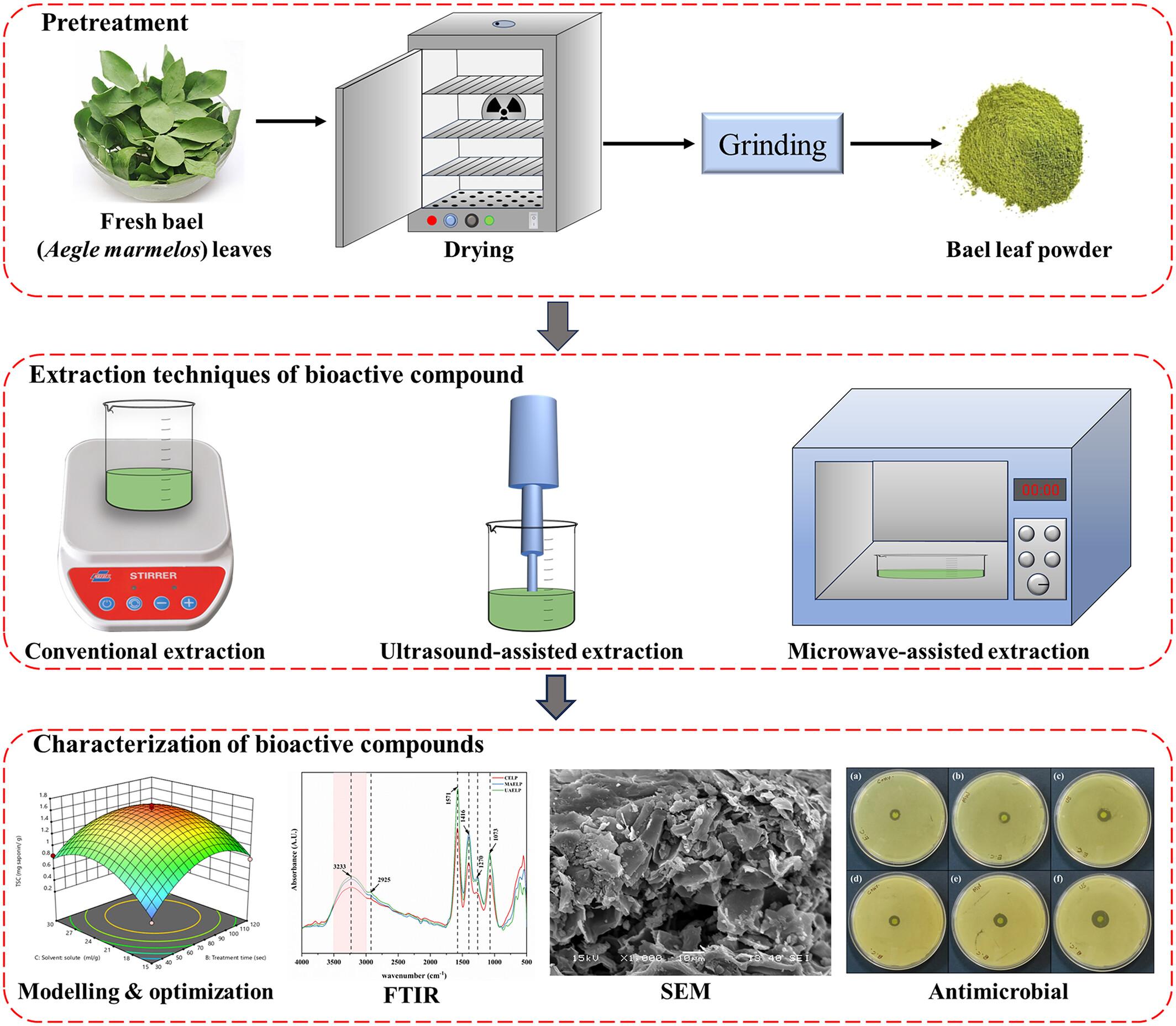 Extraction of bioactive compound from bael (Aegle marmelos) leaves: A comparative analysis of ultrasound and microwave-assisted methods