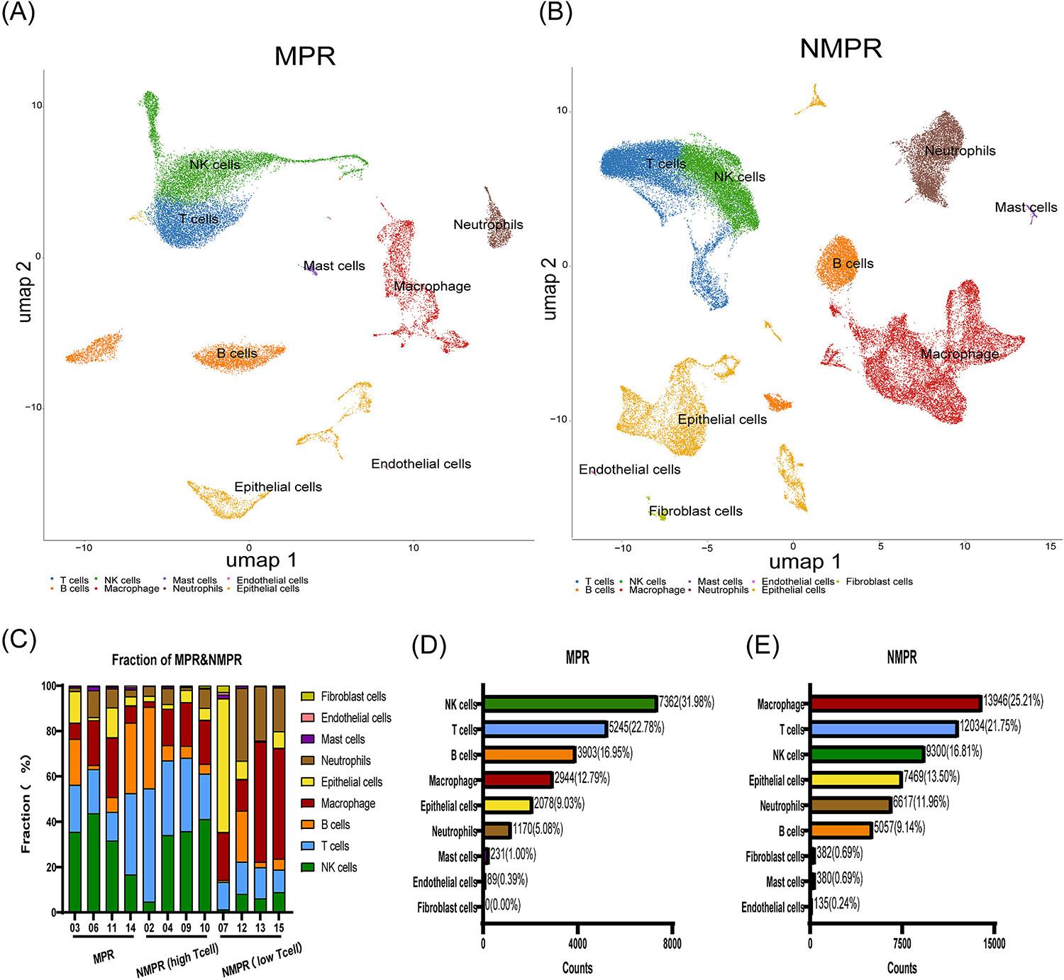 Single-cell RNA sequencing reveals microenvironmental infiltration in non-small cell lung cancer with different responses to immunotherapy