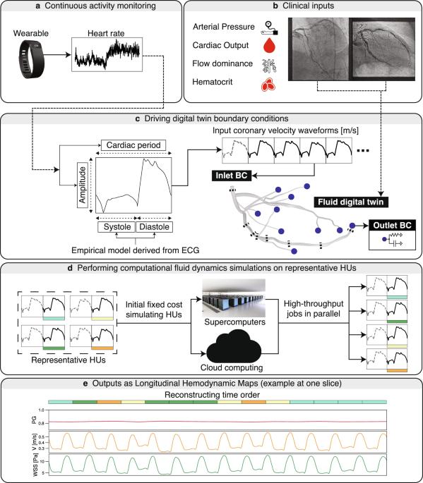 Establishing the longitudinal hemodynamic mapping framework for wearable-driven coronary digital twins