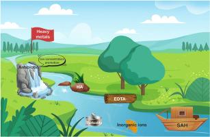 Insight into the impact of environmental factors on heavy metal adsorption by sodium alginate hydrogel: Inspiration on applicable scenarios