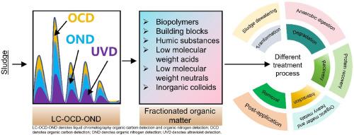 Characterizing properties and environmental behaviors of organic matter in sludge using liquid chromatography organic carbon detection and organic nitrogen detection: A mini-review