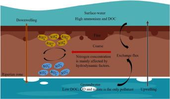 Nitrogen fate in riparian zones: Insights from experiments and analysis of sediment porosity and surface water-groundwater exchange