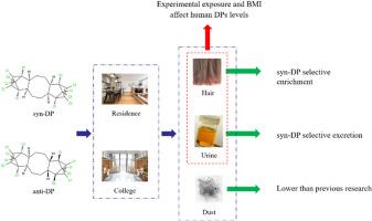 Dechlorane plus in dust, hair and urine: Exposure, excretion and level change