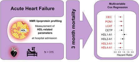 Impaired HDL antioxidant and anti-inflammatory functions are linked to increased mortality in acute heart failure patients