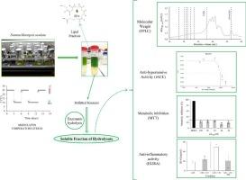 Defatted Nannochloropsis oculata biomass – Waste or resource?