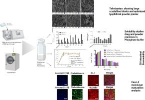 A 3D in-vitro biomimicking Caco-2 intestinal permeability model-based assessment of physically modified telmisartan towards an alkalizer-free formulation development