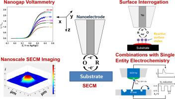 A critical review: Advanced electrochemical analysis based on nanoscale scanning electrochemical microscopy