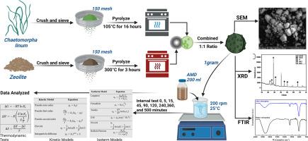 Zeolite functionalized with macroalgae as novel material for Fe and Mn removal from real acid mine drainage