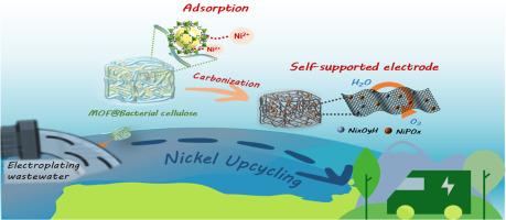 Upcycling Nickel Ions into self-supported Electrocatalyst by using ZIF-8/Bacterial cellulose adsorbent