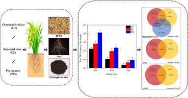 Distribution of tetracycline resistance genes within an organic fertilizer-amended soil–rice continuum