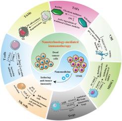 Enhancing cancer immunotherapy: Nanotechnology-mediated immunotherapy overcoming immunosuppression