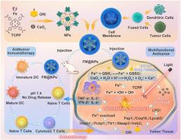 An iron-based metal-organic framework nanoplatform for enhanced ferroptosis and oridonin delivery as a comprehensive antitumor strategy