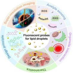 Versatile organic fluorescent probes for visualizing the dynamics of lipid droplets