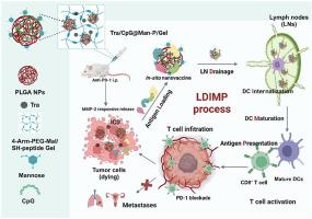 In situ tumor vaccine with optimized nanoadjuvants and lymph node targeting capacity to treat ovarian cancer and metastases