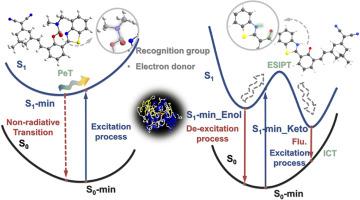 Unraveling the Multi-sensing mechanism of 2-(2′-Hydroxyphenyl)-benzothiazole fluorescent probes for acetylcholinesterase detection