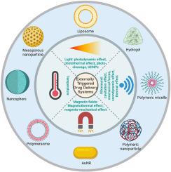 Externally triggered drug delivery systems