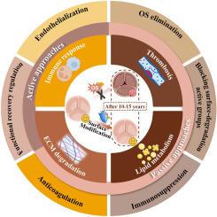 Advances of surface modification to alleviate oxidative stress-induced valve degeneration