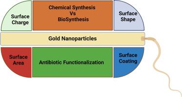 Gold nanoparticles antibacterial activity: Does the surface matter?