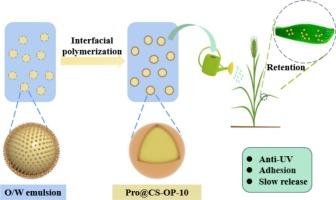 Development of leaf-adhesive polyurethane microcapsules loaded with prochloraz for enhanced fungicide efficiency