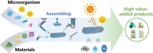 Assembly strategies for microbe-material hybrid systems in solar energy conversion