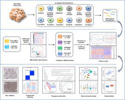 Excavating regulated cell death signatures to predict prognosis, tumor microenvironment and therapeutic response in HR+/HER2- breast cancer