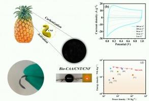 One-step self-assembled biomass carbon aerogel/carbon nanotube/cellulose nanofiber composite for supercapacitor flexible electrode