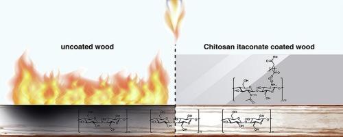 A fire-retardant coating for wood made from chitosan itaconate