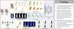 Assessing gait dysfunction severity in Parkinson’s Disease using 2-Stream Spatial–Temporal Neural Network