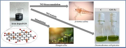 Toxicity of iron-doped graphene Oxide: Towards eco-friendly carbon-based nanomaterials