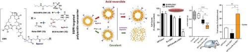 A novel mertansine conjugate for acid-reversible targeted drug delivery validated through the Avidin-Nucleic-Acid-NanoASsembly platform