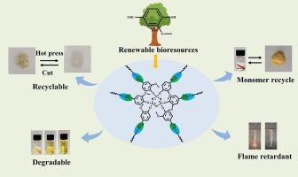 Synthesis, degradation Behavior, and recyclability property of novel bio-based Polyimine thermosets