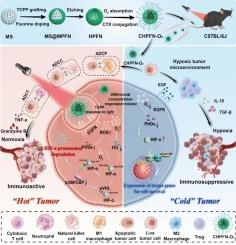 EGFR-targeting oxygen-saturated nanophotosensitizers for orchestrating multifaceted antitumor responses by counteracting immunosuppressive milieu