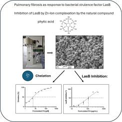 Spray drying of a zinc complexing agent for inhalation therapy of pulmonary fibrosis