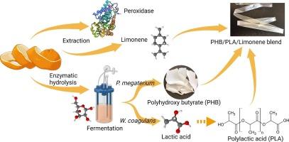 The orange gold: Biotechnological production of PLA/P(3HB)/limonene based polyesters from orange peel waste