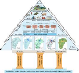 Sustainable management strategy for phosphorus in large-scale watersheds based on the coupling model of substance flow analysis and machine learning