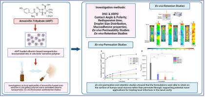 Mucoadhesive in situ nasal gel of amoxicillin trihydrate for improved local delivery: Ex vivo mucosal permeation and retention studies